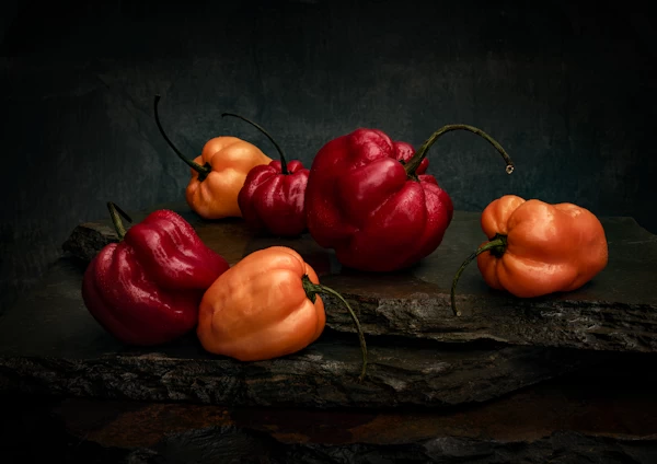 Tim Schober